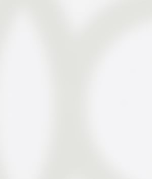 d2 light background slight texture